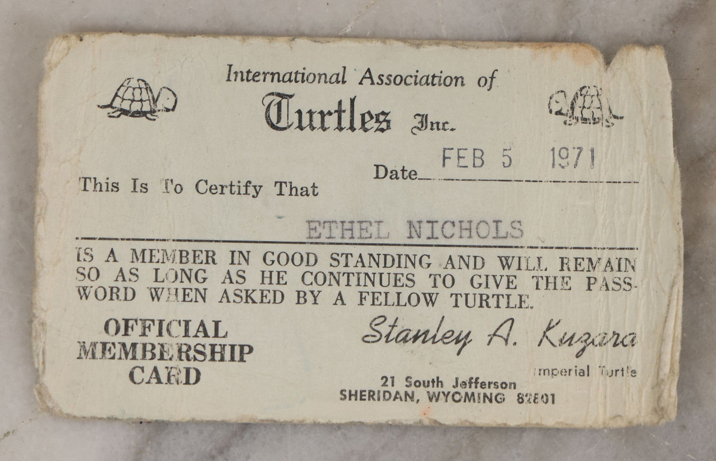 Lot 194 - Vintager International Association Of Turtles Inc. Novelty Fraternal Membership Card For Ethel Nichols With Rules And Riddles, 1971, (“Are You A Turtle?” / “You Bet Your Sweet Ass I Am”)