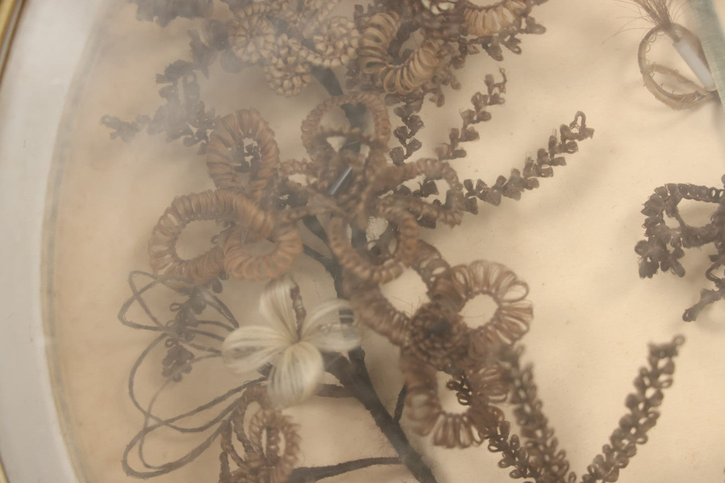 Lot 001 - Antique Victorian Mourning Memorial Human Hair Work Wreath In Deep Oval Shadowbox With Carte De Visite CDV Photograph Of Young Child In Blue Velvet Surround, 18-1/8" x 15-1/4"