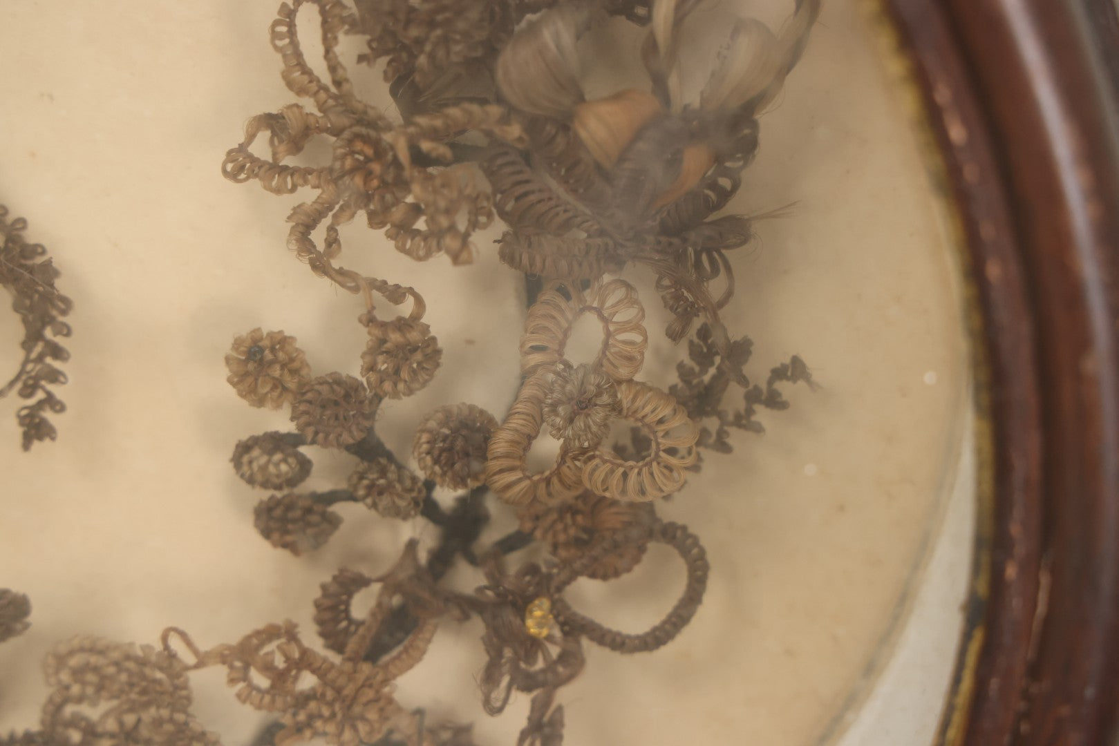 Lot 001 - Antique Victorian Mourning Memorial Human Hair Work Wreath In Deep Oval Shadowbox With Carte De Visite CDV Photograph Of Young Child In Blue Velvet Surround, 18-1/8" x 15-1/4"