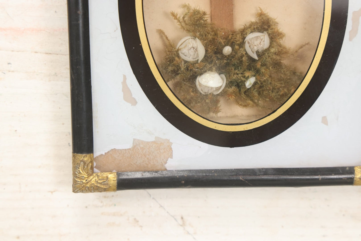 Lot 005 - Antique Shadow Box With Reverse Painted Glass And Seaweed, Shell, And Flower Cross Arrangement, Patented June 22, 1864, 5-1/4" x 6-1/8"