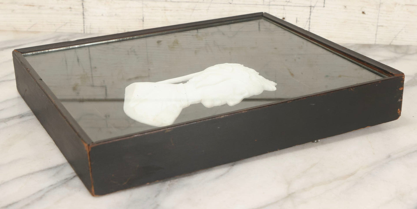 Lot 014 - Antique Shadowbox With Marble Bust In Profile Of Dante Alighieri, Black Velvet Backing, Frederick Keppel & Co., New York City, Marked No. D 355, 11" x 13-5/8"