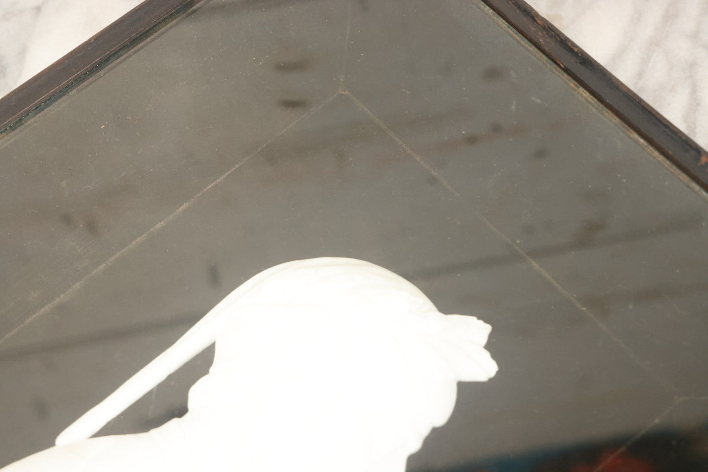 Lot 014 - Antique Shadowbox With Marble Bust In Profile Of Dante Alighieri, Black Velvet Backing, Frederick Keppel & Co., New York City, Marked No. D 355, 11" x 13-5/8"