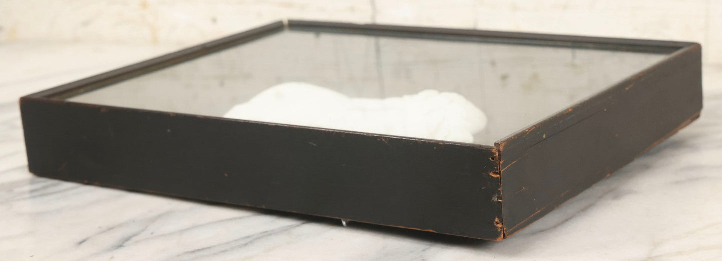 Lot 014 - Antique Shadowbox With Marble Bust In Profile Of Dante Alighieri, Black Velvet Backing, Frederick Keppel & Co., New York City, Marked No. D 355, 11" x 13-5/8"