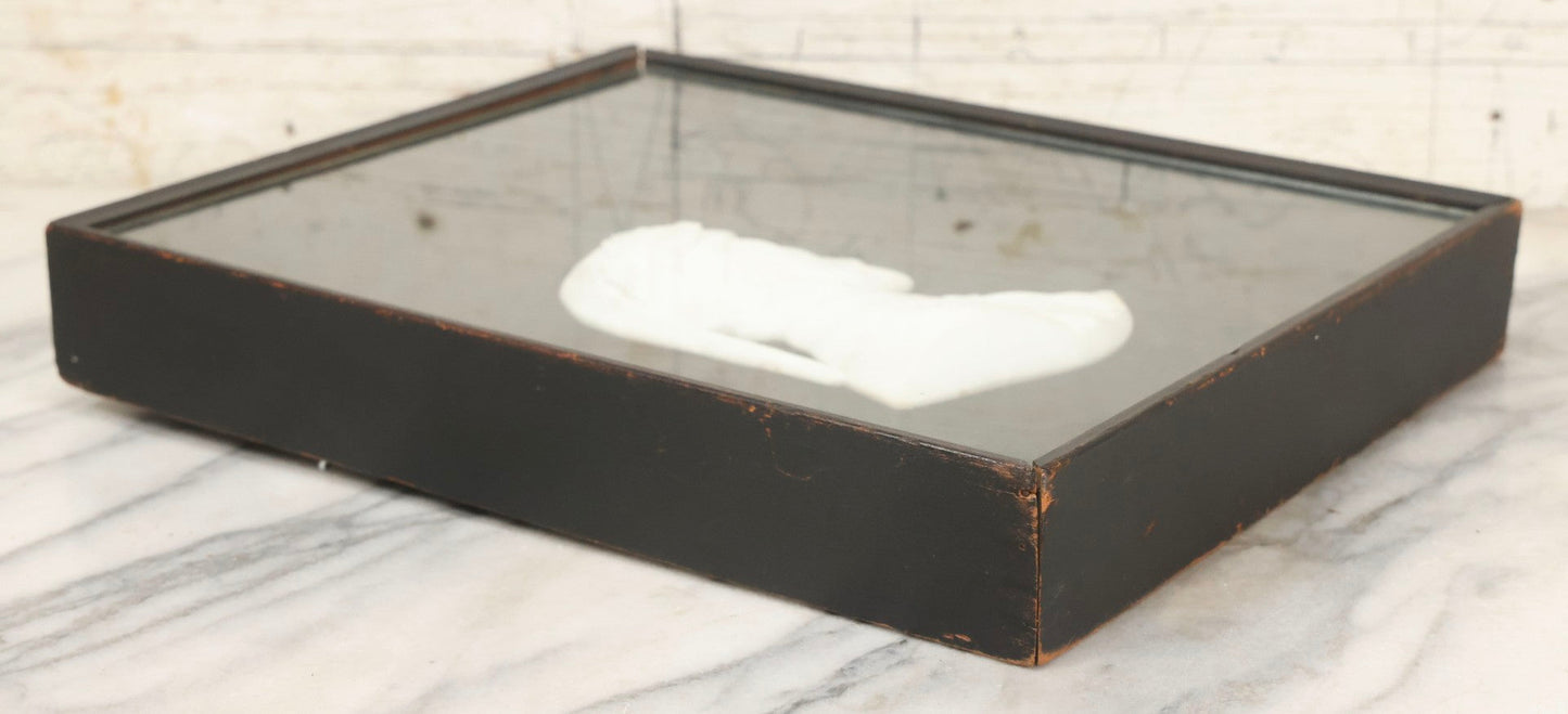 Lot 014 - Antique Shadowbox With Marble Bust In Profile Of Dante Alighieri, Black Velvet Backing, Frederick Keppel & Co., New York City, Marked No. D 355, 11" x 13-5/8"