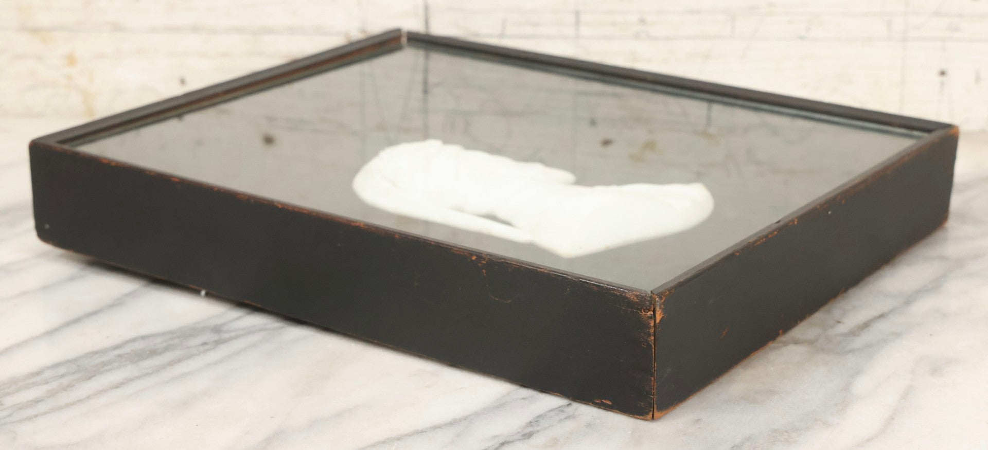 Lot 014 - Antique Shadowbox With Marble Bust In Profile Of Dante Alighieri, Black Velvet Backing, Frederick Keppel & Co., New York City, Marked No. D 355, 11" x 13-5/8"