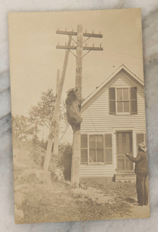 Lot 186 - Antique Real Photo Postcard RPPC “Trained Bear, Weare, New Hampshire” Depicting Man And Climbing Bear Beside House