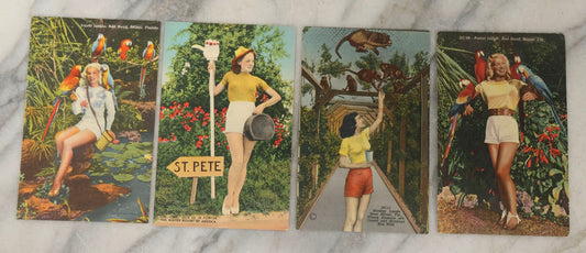 Lot 248 - Grouping Of Four Vintage Florida Linen Postcards Featuring Women, Parrots, And Tropical Scenes