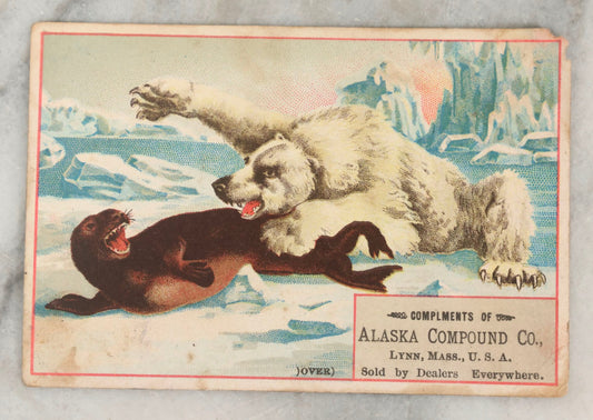Lot 254 - Antique Victorian Lithographed Trade Card Advertisement For Alaska Compound Co., Lynn, Massachusetts, Depicting Polar Bear Attacking Seal