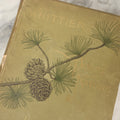 Lot 288 - "Poems Of Nature" Antique Large Format Illustrated Book By John Greenleaf Whittier, Illustrated By Elbridge Kingsley, Published By Houghton, Mifflin And Company, Boston, 1886, With Pine Cone And Pine Leaf Designs On Covers And Gilt Foredge