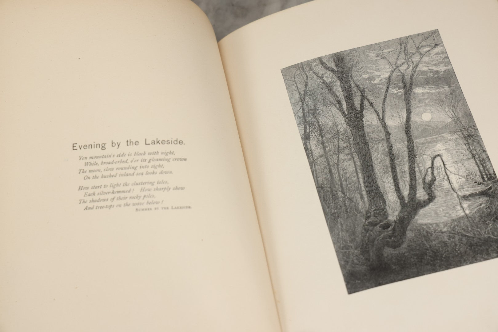 Lot 288 - "Poems Of Nature" Antique Large Format Illustrated Book By John Greenleaf Whittier, Illustrated By Elbridge Kingsley, Published By Houghton, Mifflin And Company, Boston, 1886, With Pine Cone And Pine Leaf Designs On Covers And Gilt Foredge