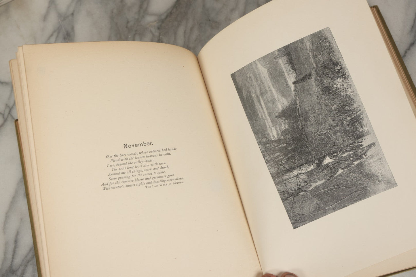 Lot 288 - "Poems Of Nature" Antique Large Format Illustrated Book By John Greenleaf Whittier, Illustrated By Elbridge Kingsley, Published By Houghton, Mifflin And Company, Boston, 1886, With Pine Cone And Pine Leaf Designs On Covers And Gilt Foredge