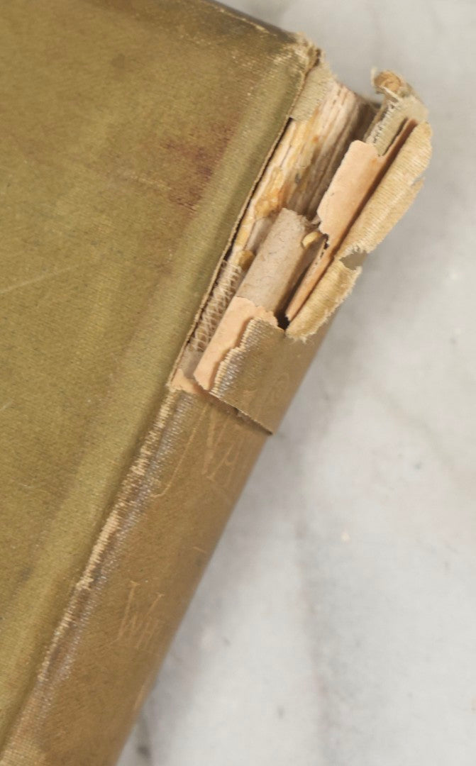 Lot 288 - "Poems Of Nature" Antique Large Format Illustrated Book By John Greenleaf Whittier, Illustrated By Elbridge Kingsley, Published By Houghton, Mifflin And Company, Boston, 1886, With Pine Cone And Pine Leaf Designs On Covers And Gilt Foredge