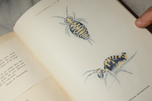 Lot 332 - "The Collembola Of Minnesota" Antique Entomological Scientific Monograph On Springtails (Hexapods) By Joseph E. Guthrie, M.S., Edited By Henry F. Nachtrieb, Published By The Geological And Natural History Survey Of Minnesota, March 1903