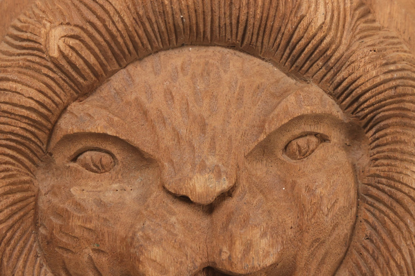 Lot 009 - Antique Carved Wooden Lion Relief Plaque Furntiure Remnant With Circular Border And Prominent Fangs