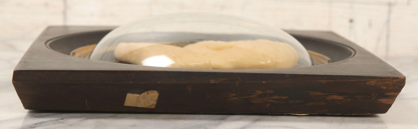 Lot 022 - Antique Wax Portrait Relief Of Gentleman Signed G. Grütter, Mounted On Reverse-Painted Glass Under Convex Dome, Continental, Circa 1830–1845, 10-3/8" x 10-1/2"