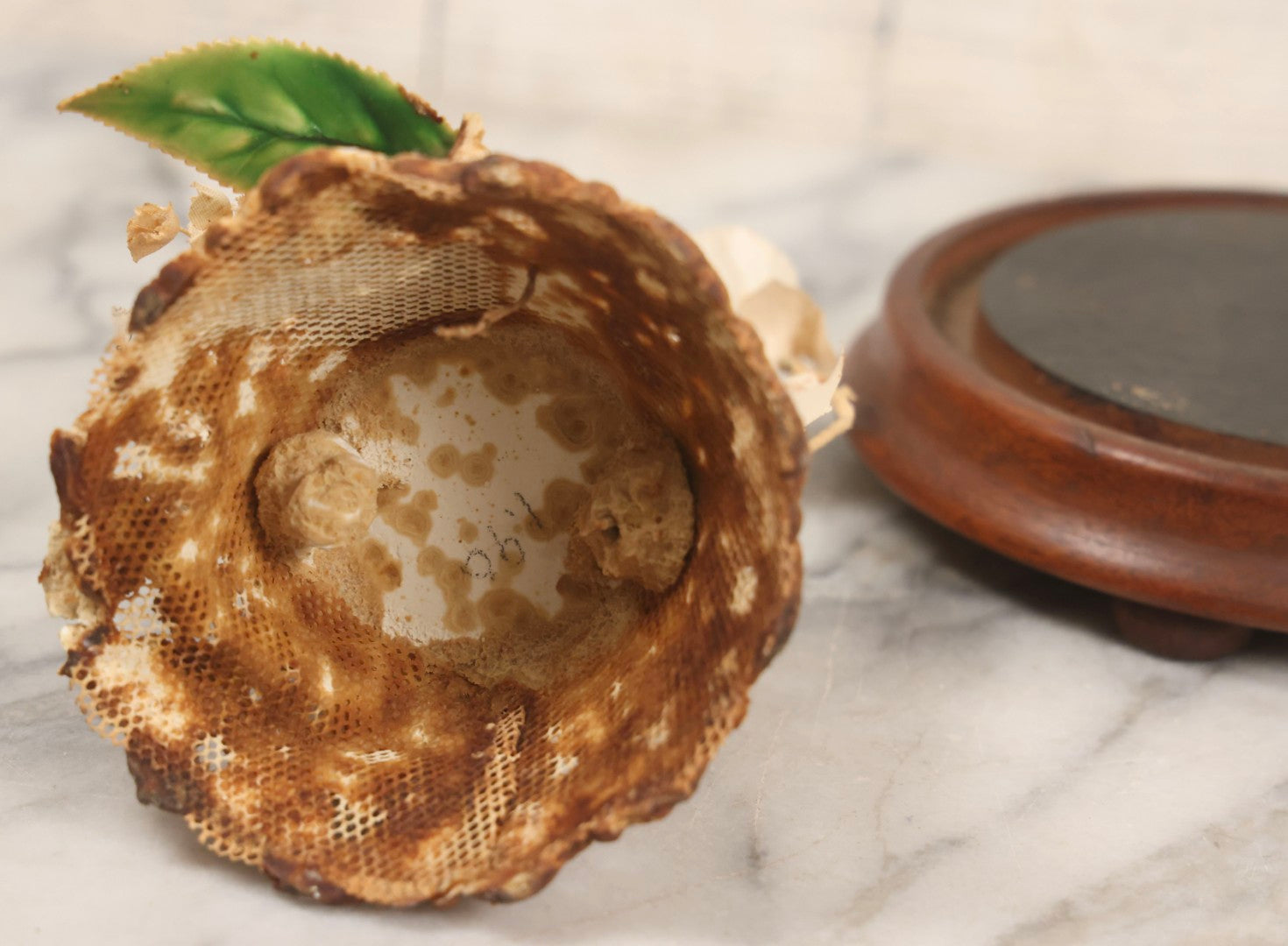 Lot 035 - Vintage Wwii Era Servicemember Wedding Cake Topper In Glass Dome Cloche With Bride, Groom In Military Uniform, Faux White Flowers, And Wood Base, 9-1/2" H