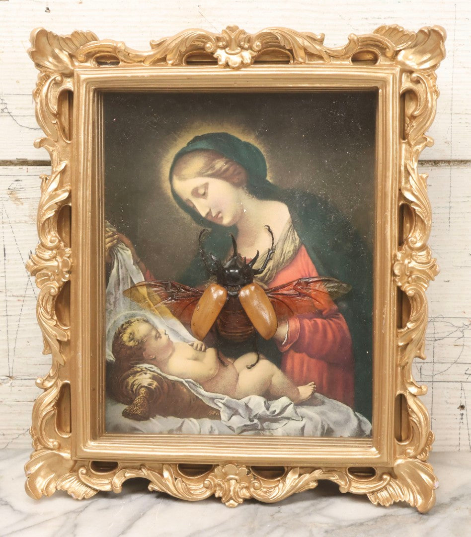 Lot 062 - Modern Shadow Box With Flying Beetle Taxidermy Over Chromolithograph Of Mary And Child, 11" x 12-1/2"