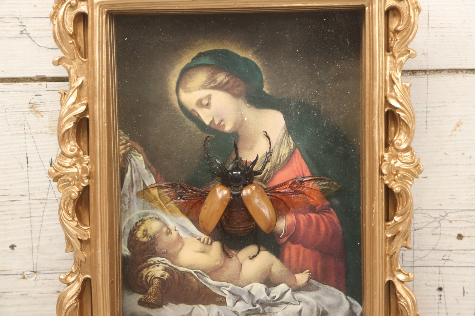 Lot 062 - Modern Shadow Box With Flying Beetle Taxidermy Over Chromolithograph Of Mary And Child, 11" x 12-1/2"