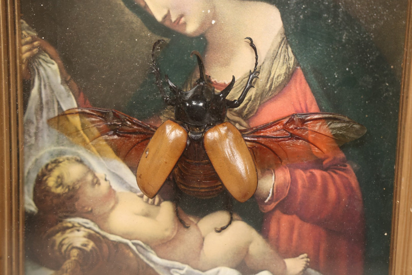 Lot 062 - Modern Shadow Box With Flying Beetle Taxidermy Over Chromolithograph Of Mary And Child, 11" x 12-1/2"