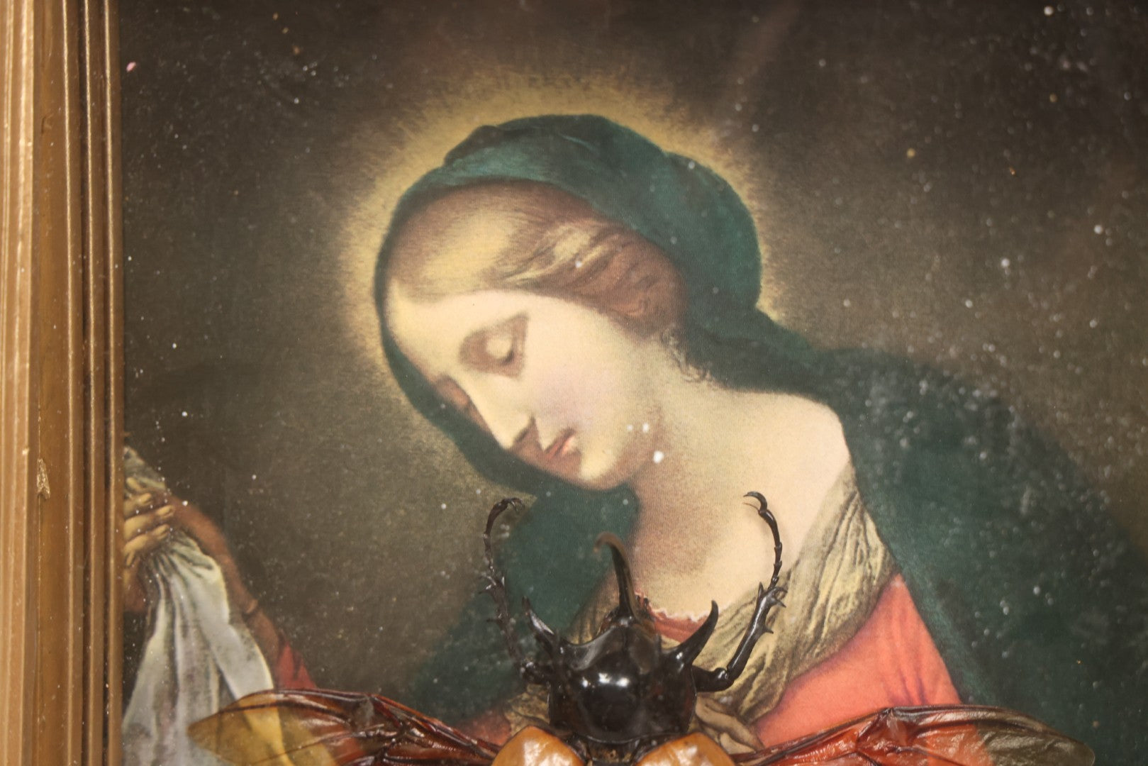 Lot 062 - Modern Shadow Box With Flying Beetle Taxidermy Over Chromolithograph Of Mary And Child, 11" x 12-1/2"