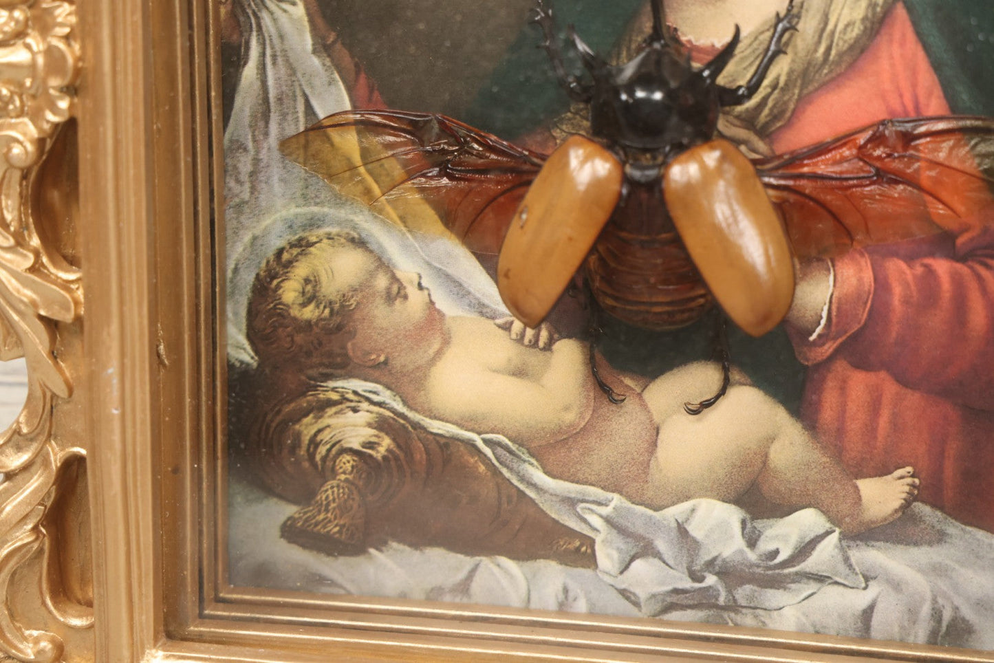 Lot 062 - Modern Shadow Box With Flying Beetle Taxidermy Over Chromolithograph Of Mary And Child, 11" x 12-1/2"
