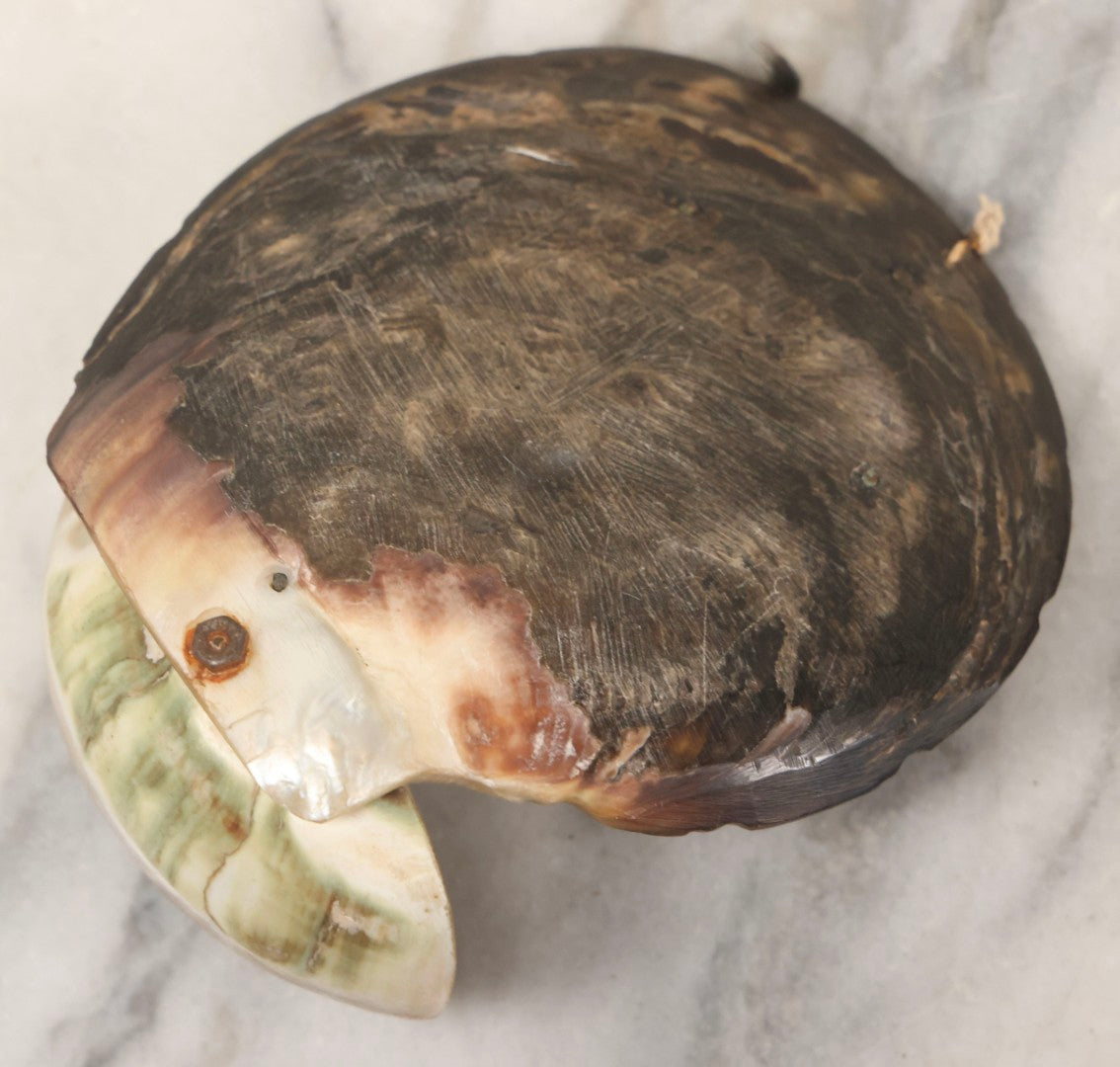 Lot 071 - Antique Mother Of Pearl Holy Water Font With Carved Shell Backdrop And Metal Corpus Of Jesus, 5-1/4" H