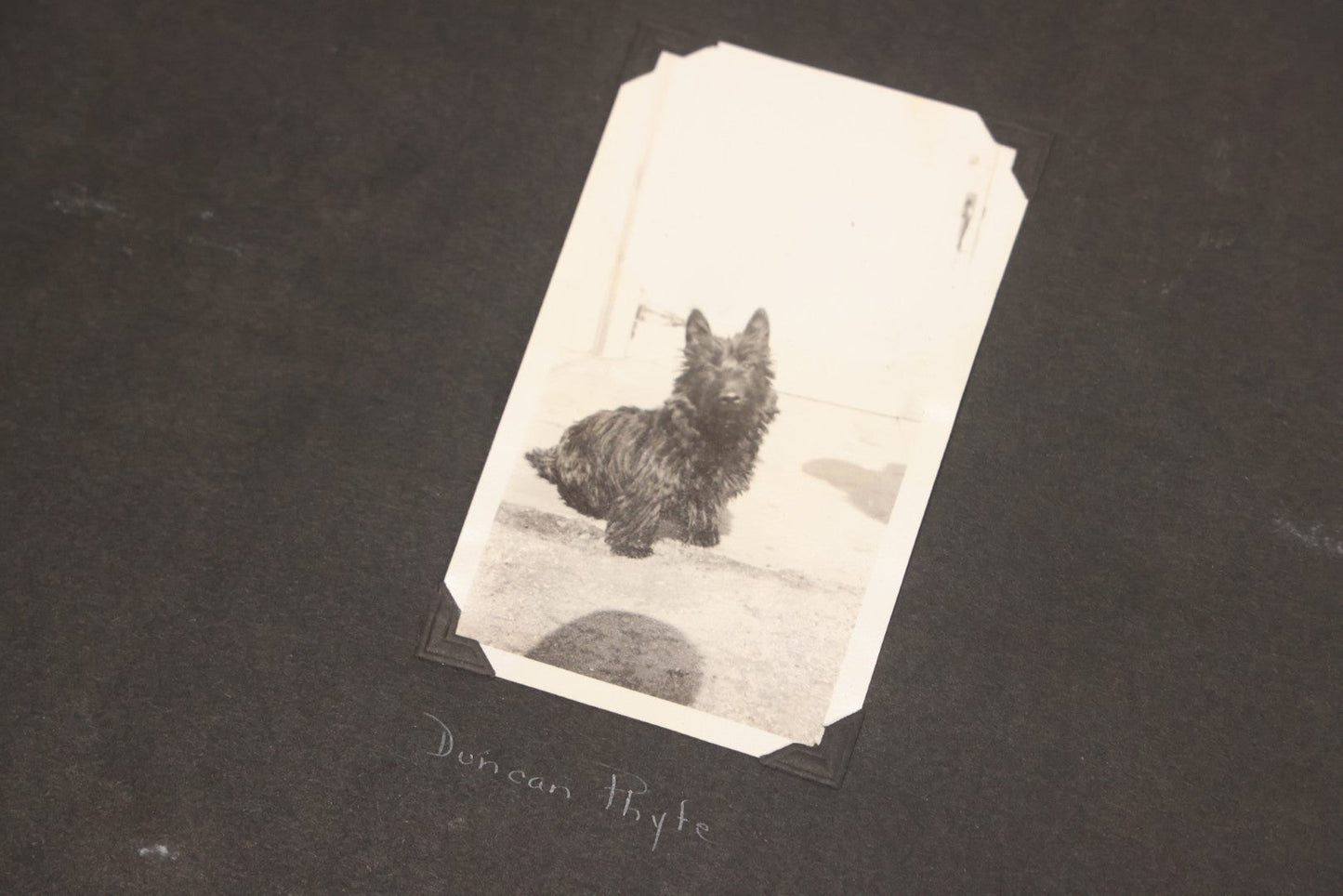 Lot 099 - Vintage Snapshot Photograph Album With 225+ Photos Of Travel And Family Life In New England And Beyond, 1925–1945