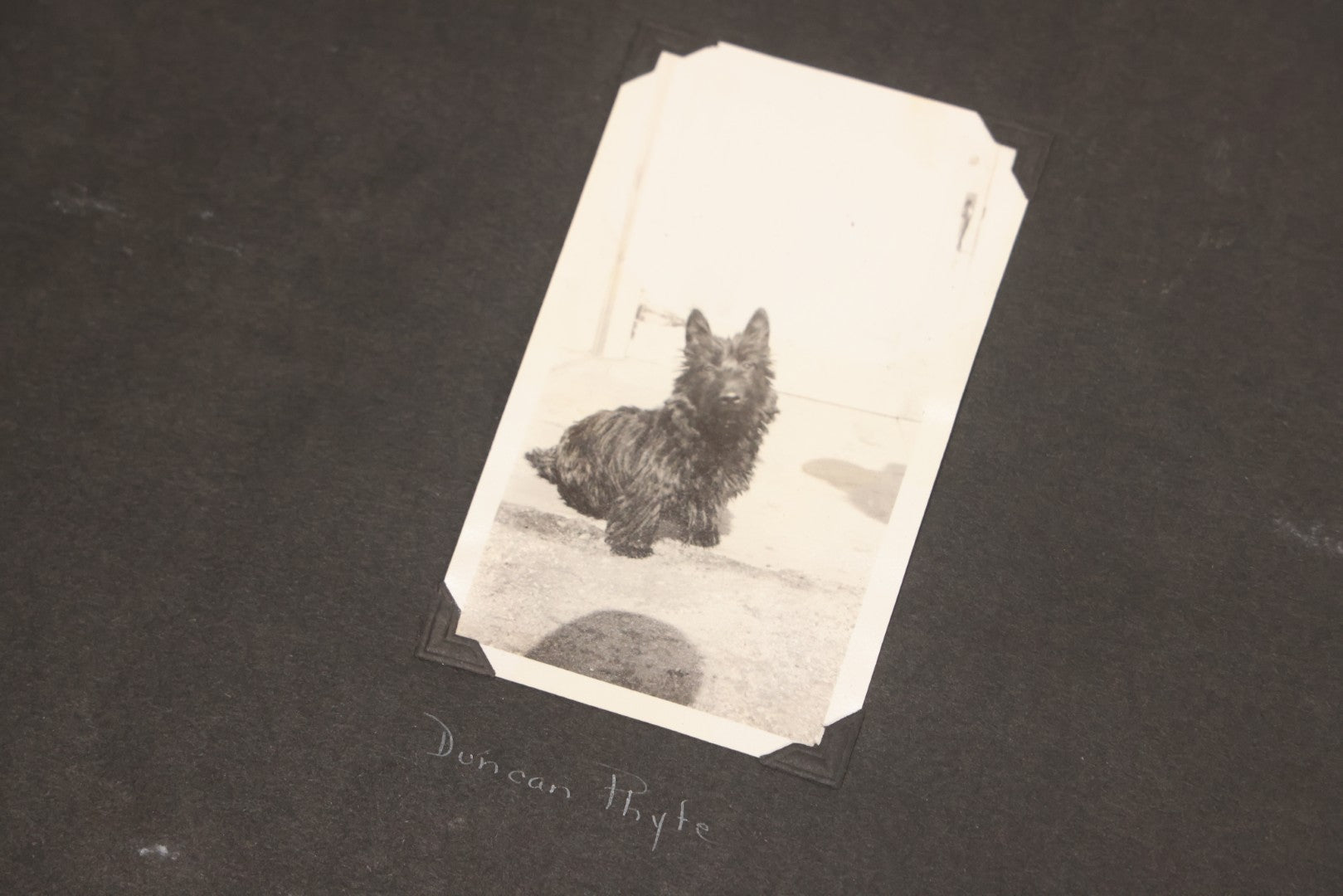 Lot 099 - Vintage Snapshot Photograph Album With 225+ Photos Of Travel And Family Life In New England And Beyond, 1925–1945