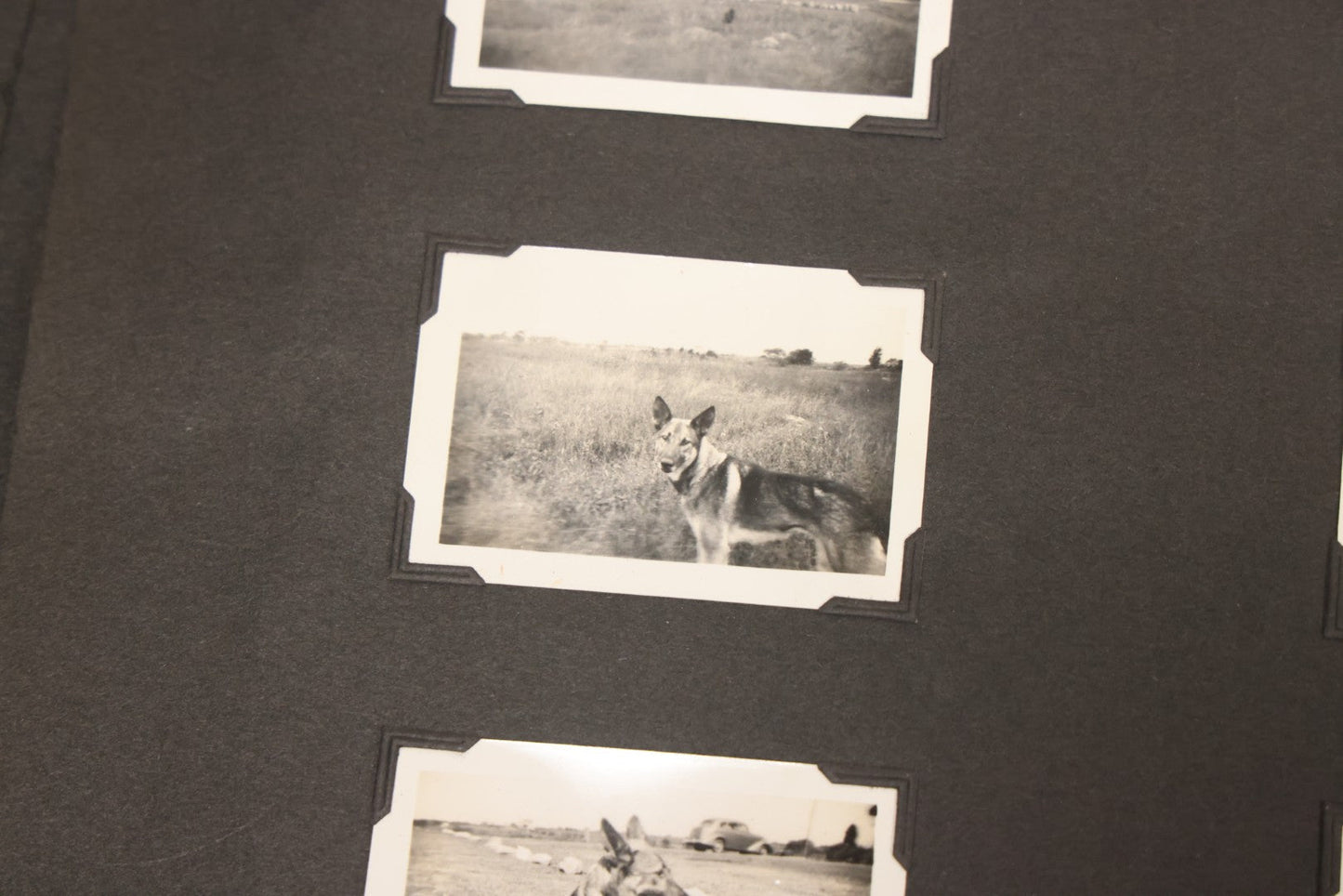 Lot 099 - Vintage Snapshot Photograph Album With 225+ Photos Of Travel And Family Life In New England And Beyond, 1925–1945