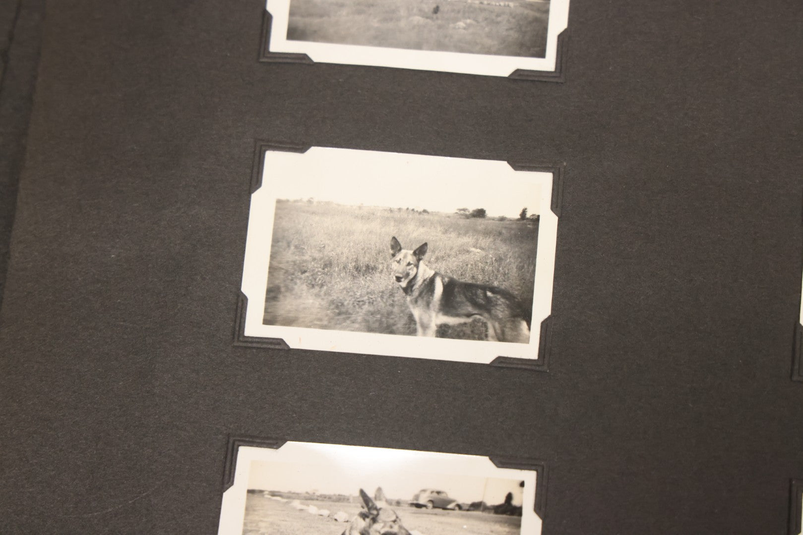 Lot 099 - Vintage Snapshot Photograph Album With 225+ Photos Of Travel And Family Life In New England And Beyond, 1925–1945