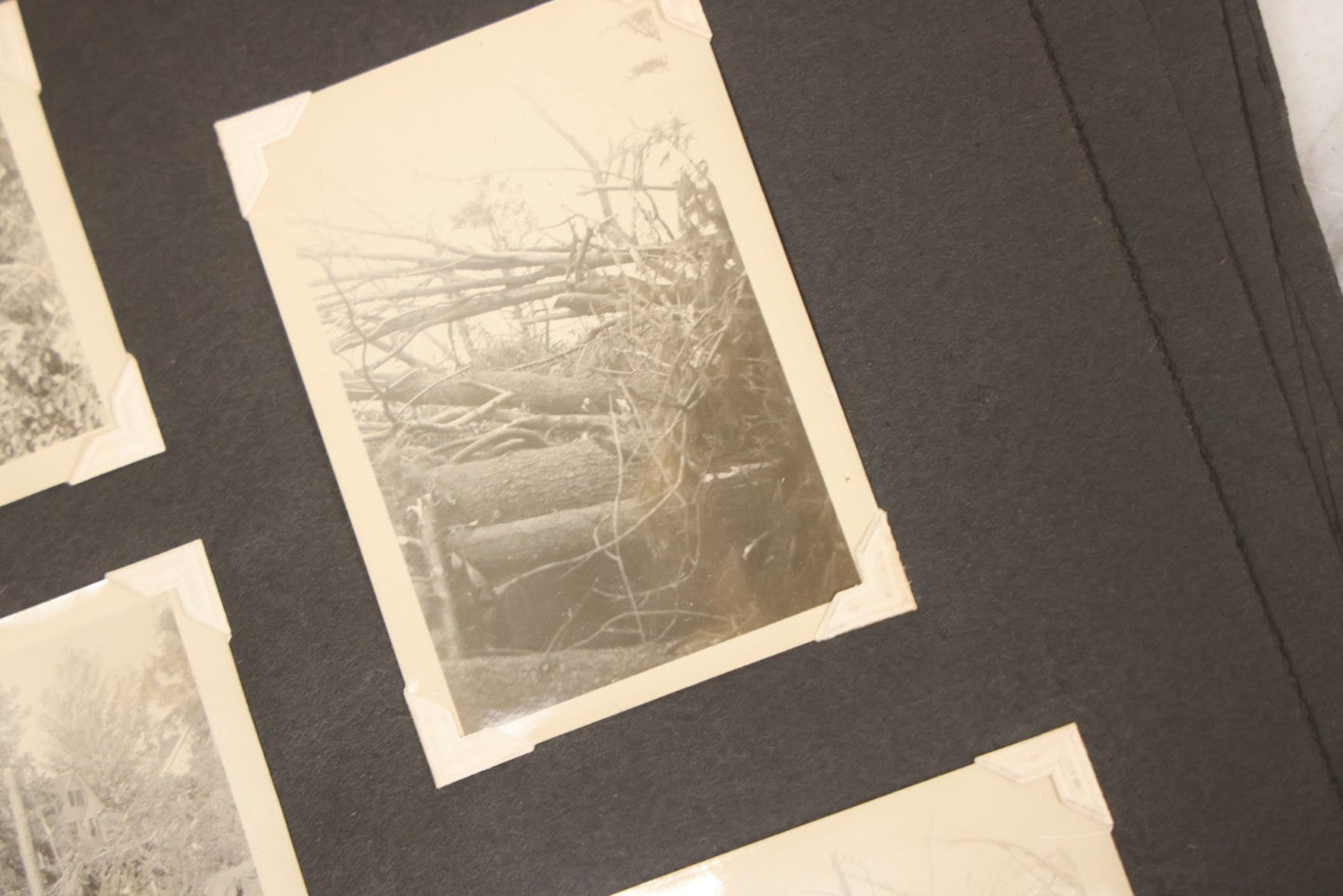 Lot 099 - Vintage Snapshot Photograph Album With 225+ Photos Of Travel And Family Life In New England And Beyond, 1925–1945