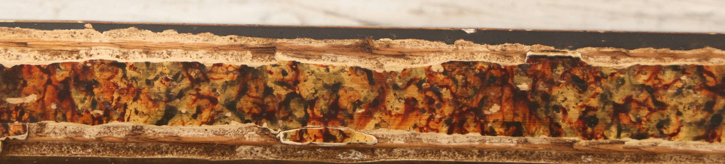 Lot 110 - Antique Boarded Photograph Of Woman Seated With Dog Before Farmhouse And Barn, In Faux Marble Painted Double Frame, 15-5/8" x 13-3/4"