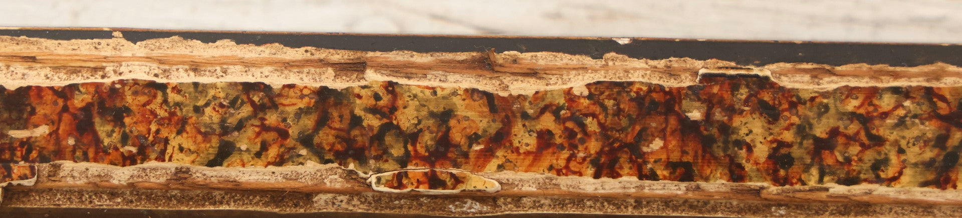 Lot 110 - Antique Boarded Photograph Of Woman Seated With Dog Before Farmhouse And Barn, In Faux Marble Painted Double Frame, 15-5/8" x 13-3/4"