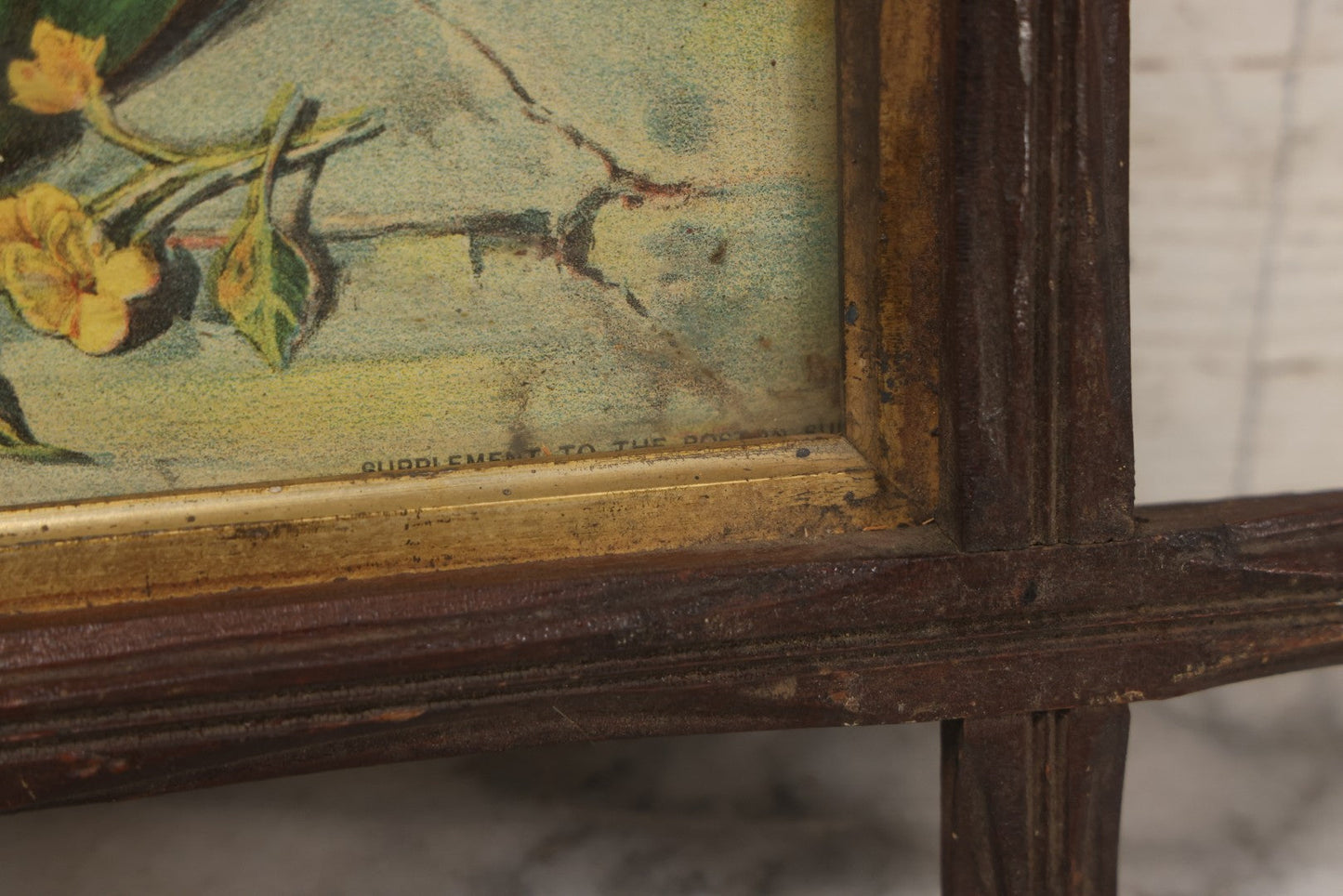 Lot 123 - Antique Chromolithograph "Which Do You Like?" Depicting Little Girl With Puppies And Kitten, Supplement To Boston Sunday Globe, In Faux Branch Double Frame, 16-3/4" x 14-3/4"