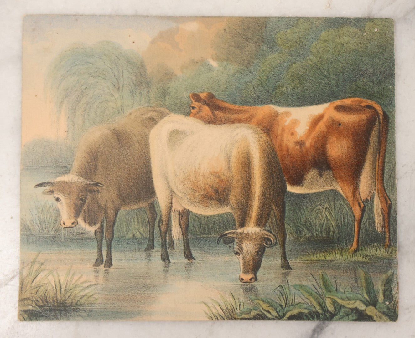 Lot 135 - Grouping Of 17 Antique Hand Colored Engravings And Lithographs With Full Color Scenes Including Figures, Still Lifes, And Genre Subjects