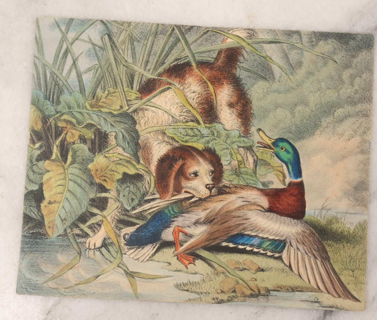 Lot 135 - Grouping Of 17 Antique Hand Colored Engravings And Lithographs With Full Color Scenes Including Figures, Still Lifes, And Genre Subjects