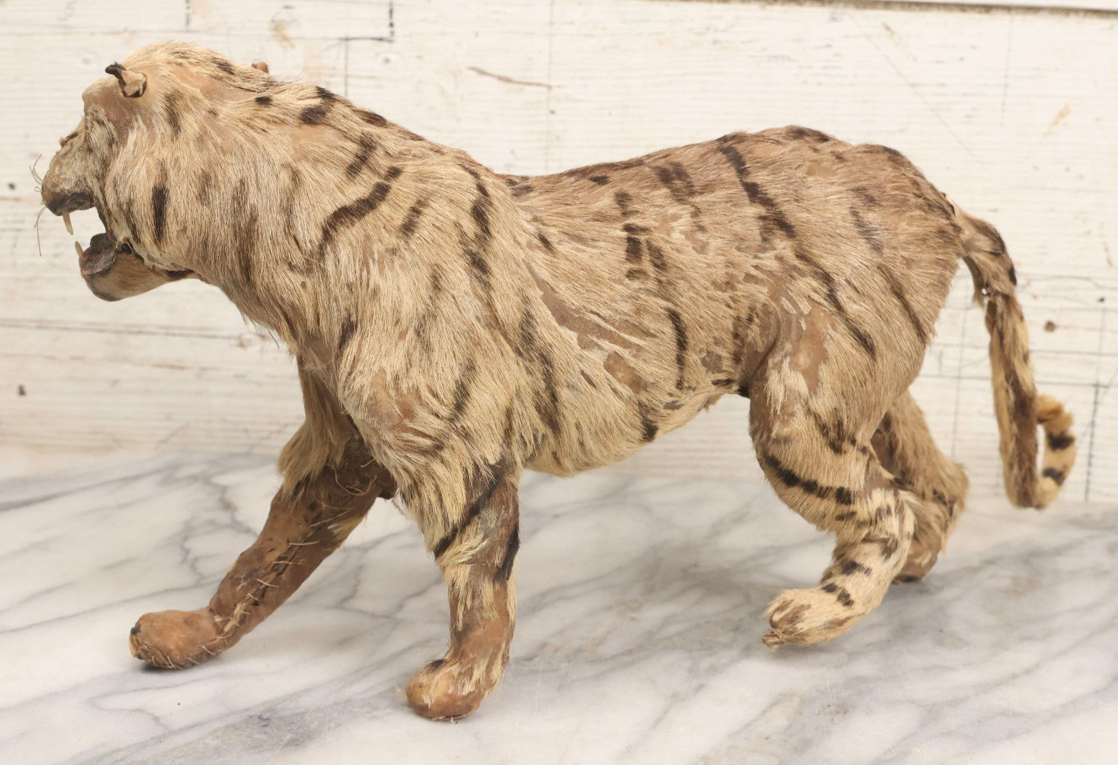 Lot 182 - Vintage Leather And Fur Wild Cat Tiger Model With Glass Eyes And Striped Tail, 8" H, Note Poor Condition
