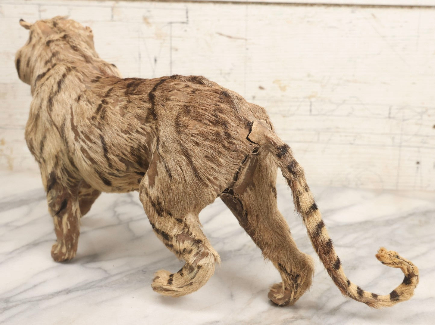 Lot 182 - Vintage Leather And Fur Wild Cat Tiger Model With Glass Eyes And Striped Tail, 8" H, Note Poor Condition