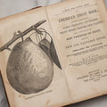 Lot 195 - "The American Fruit Book" Antique Agricultural Reference Book By S. W. Cole, Illustrated With Engravings Of Fruits, Trees, Insects, Grafting, Budding, And Training, Published By John P. Jewett, Boston, 1849, Note Missing Back Cover