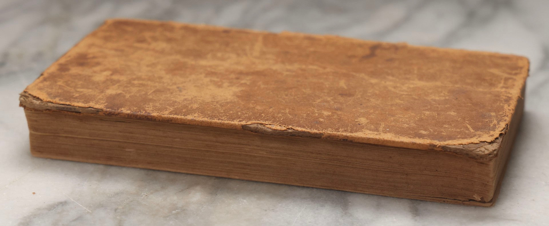 Lot 195 - "The American Fruit Book" Antique Agricultural Reference Book By S. W. Cole, Illustrated With Engravings Of Fruits, Trees, Insects, Grafting, Budding, And Training, Published By John P. Jewett, Boston, 1849, Note Missing Back Cover