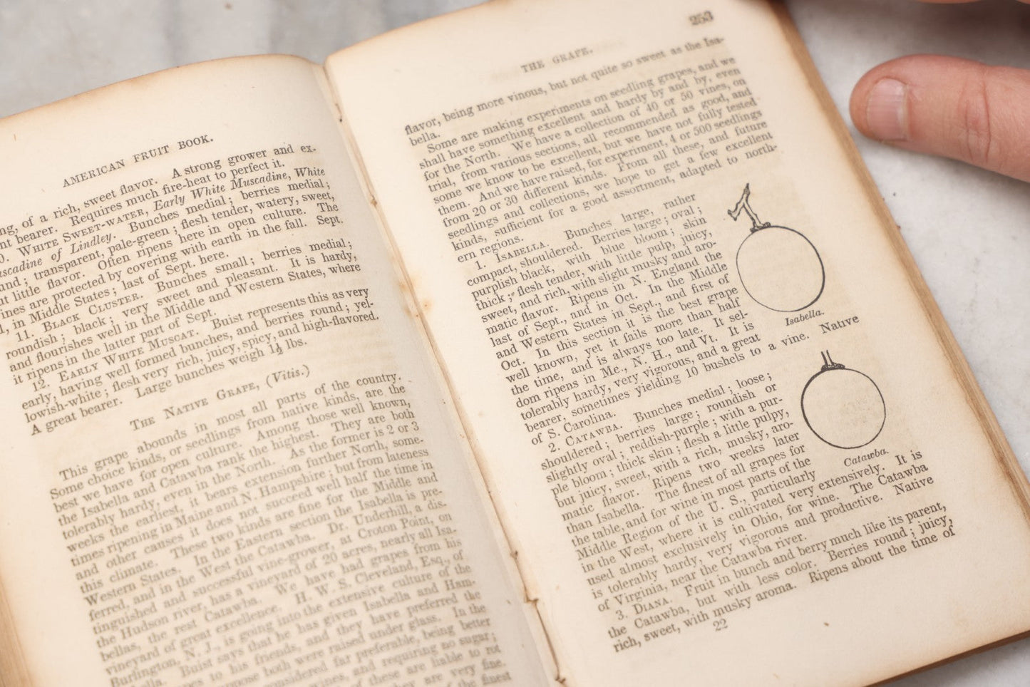 Lot 195 - "The American Fruit Book" Antique Agricultural Reference Book By S. W. Cole, Illustrated With Engravings Of Fruits, Trees, Insects, Grafting, Budding, And Training, Published By John P. Jewett, Boston, 1849, Note Missing Back Cover