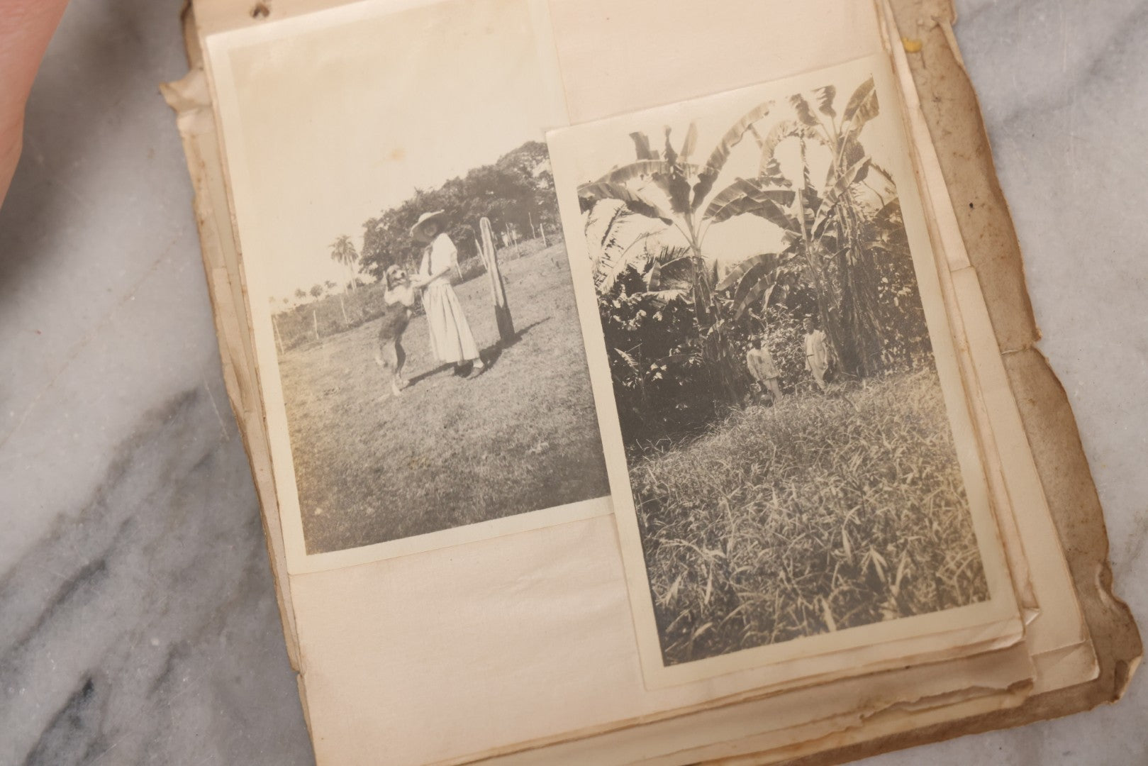 Lot 040 - Antique "Kewpie Book" Snapshot Photo Album And Scrapbook Of Johanna Cecile Powell, Hand-Painted Cover With Rose O'Neill-Style Kewpies, Containing Notes, Photographs, And Ephemera From The “Kewpie Klub,” Stetson University, Circa 1917–1920