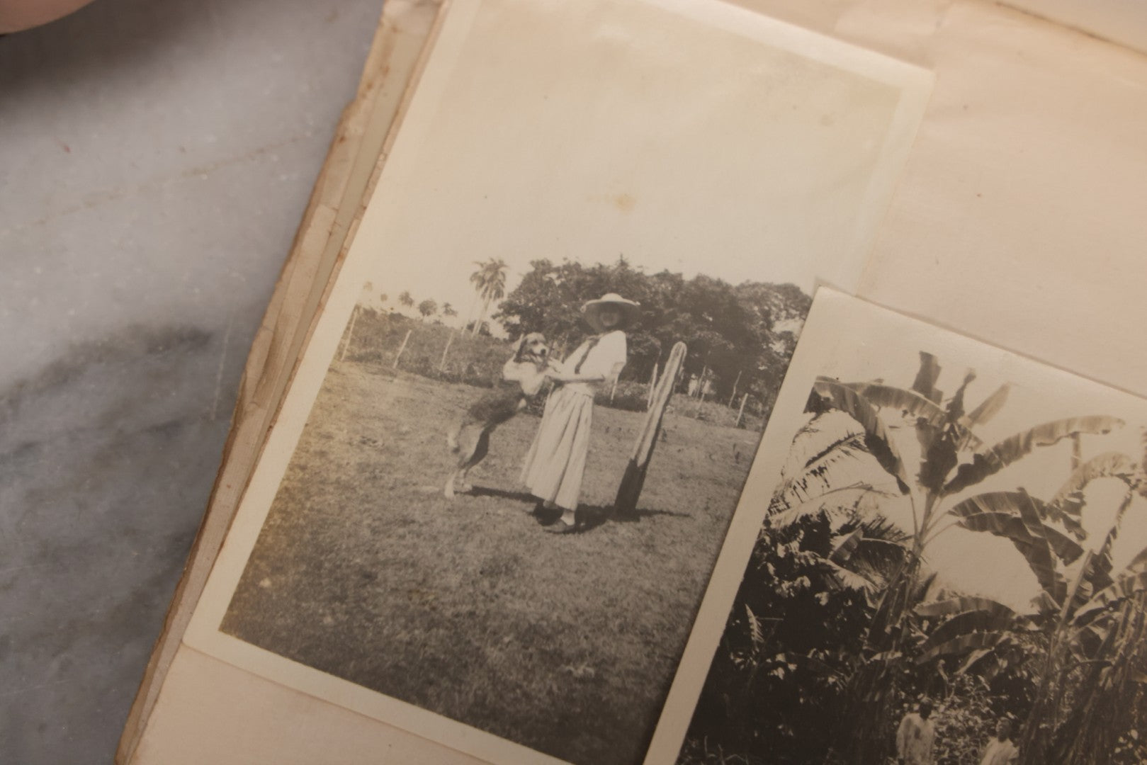 Lot 040 - Antique "Kewpie Book" Snapshot Photo Album And Scrapbook Of Johanna Cecile Powell, Hand-Painted Cover With Rose O'Neill-Style Kewpies, Containing Notes, Photographs, And Ephemera From The “Kewpie Klub,” Stetson University, Circa 1917–1920