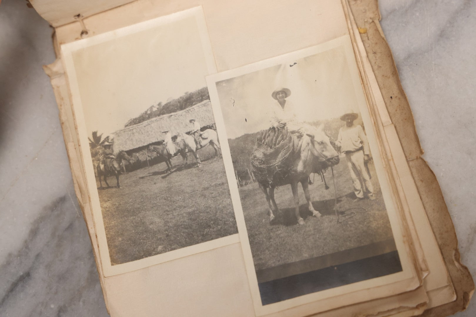 Lot 040 - Antique "Kewpie Book" Snapshot Photo Album And Scrapbook Of Johanna Cecile Powell, Hand-Painted Cover With Rose O'Neill-Style Kewpies, Containing Notes, Photographs, And Ephemera From The “Kewpie Klub,” Stetson University, Circa 1917–1920