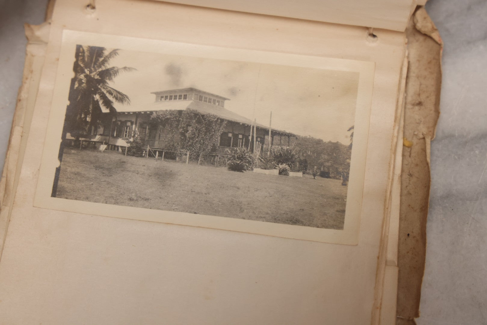 Lot 040 - Antique "Kewpie Book" Snapshot Photo Album And Scrapbook Of Johanna Cecile Powell, Hand-Painted Cover With Rose O'Neill-Style Kewpies, Containing Notes, Photographs, And Ephemera From The “Kewpie Klub,” Stetson University, Circa 1917–1920