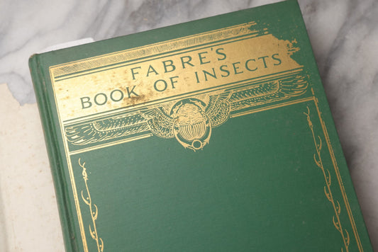 Lot 069 - "Fabre's Book Of Insects" Vintage Illustrated Natural History Book By Mrs. Rodolph Stawell, Tudor Publishing Co., New York, 1935