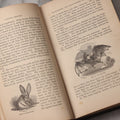 Lot 070 - "Natural History" Antique Zoology Book By Worthington Hooker, M.D., Illustrated With Nearly 300 Engravings, Published By Harper & Brothers, New York, 1870