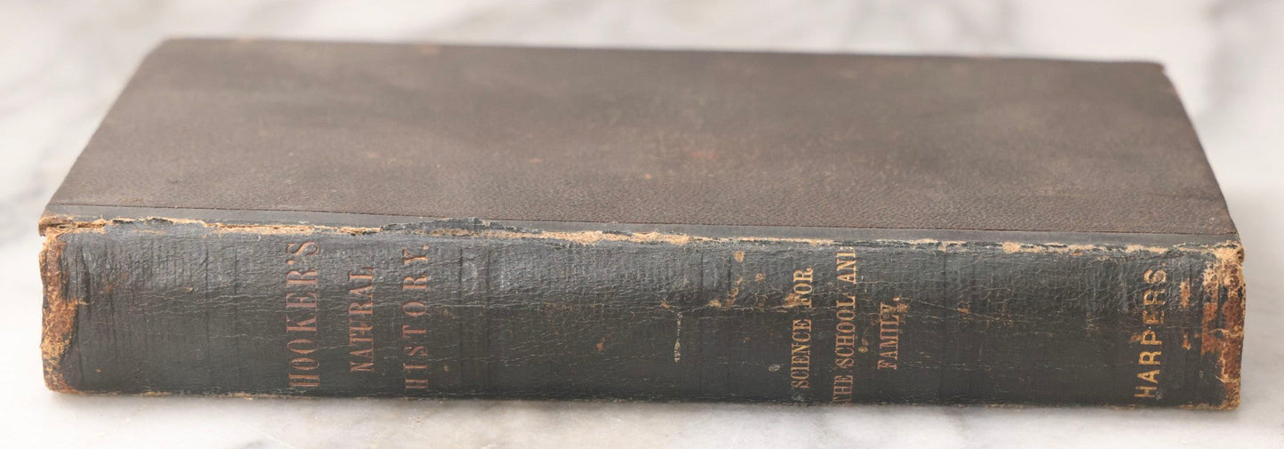 Lot 070 - "Natural History" Antique Zoology Book By Worthington Hooker, M.D., Illustrated With Nearly 300 Engravings, Published By Harper & Brothers, New York, 1870