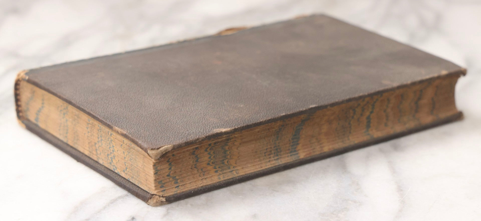 Lot 070 - "Natural History" Antique Zoology Book By Worthington Hooker, M.D., Illustrated With Nearly 300 Engravings, Published By Harper & Brothers, New York, 1870