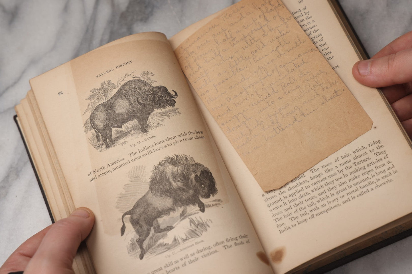 Lot 070 - "Natural History" Antique Zoology Book By Worthington Hooker, M.D., Illustrated With Nearly 300 Engravings, Published By Harper & Brothers, New York, 1870